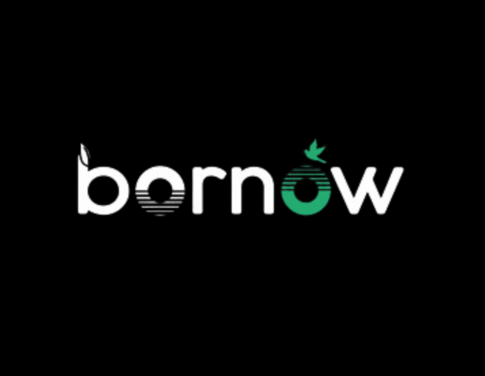 54faec_0b5313b5457f4a2f82b8dc1b88019dfb~mv2